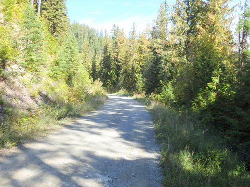 GDMBR, NF 129, Mission Mountains, Montana; Sept, 2014.